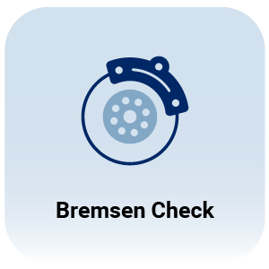 Bremsen Check