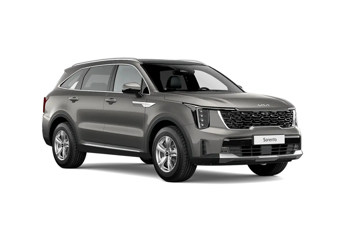 grauer Sorento